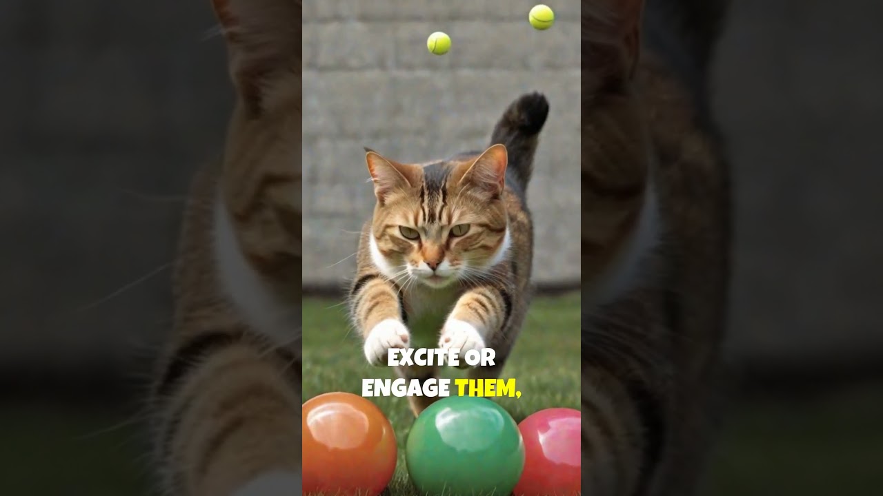 Do Cats Dream? Fascinating Facts About Feline Sleep Behavior!