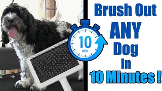 Brush Out Any Dog In TEN MINUTES ! by Grooming By Rudy 1,318 views 8 months ago 13 minutes, 11 seconds