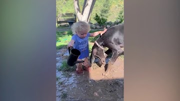 TRY NOT TO LAUGH _ Funny Weekend At The Zoo - LAUGH TRIGGER(1)