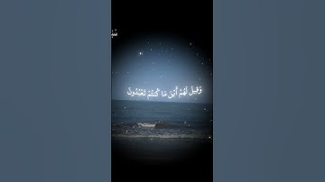 #القرآن_الكريم #بسم_الله_الرحمن_الرحيم #اكسبلور #المصحف #راحة_نفسية #سورة_البقرة #حالات_واتس