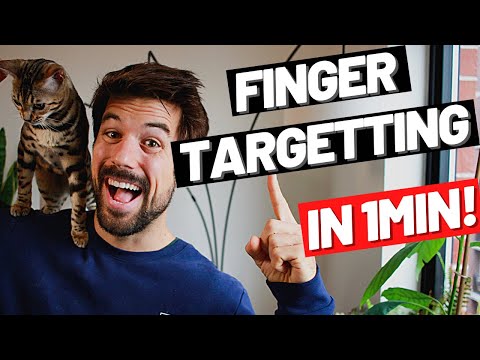 Video: Addestrare il tuo gatto: come il targeting può aiutare