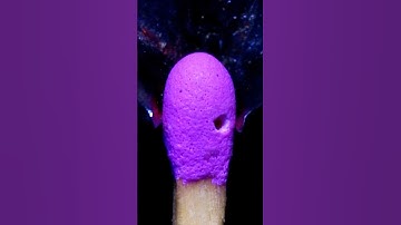 Cutting Match In Macro With Original Sound! #asmr #experiment #asmrtriggers #slowmode #satisfying