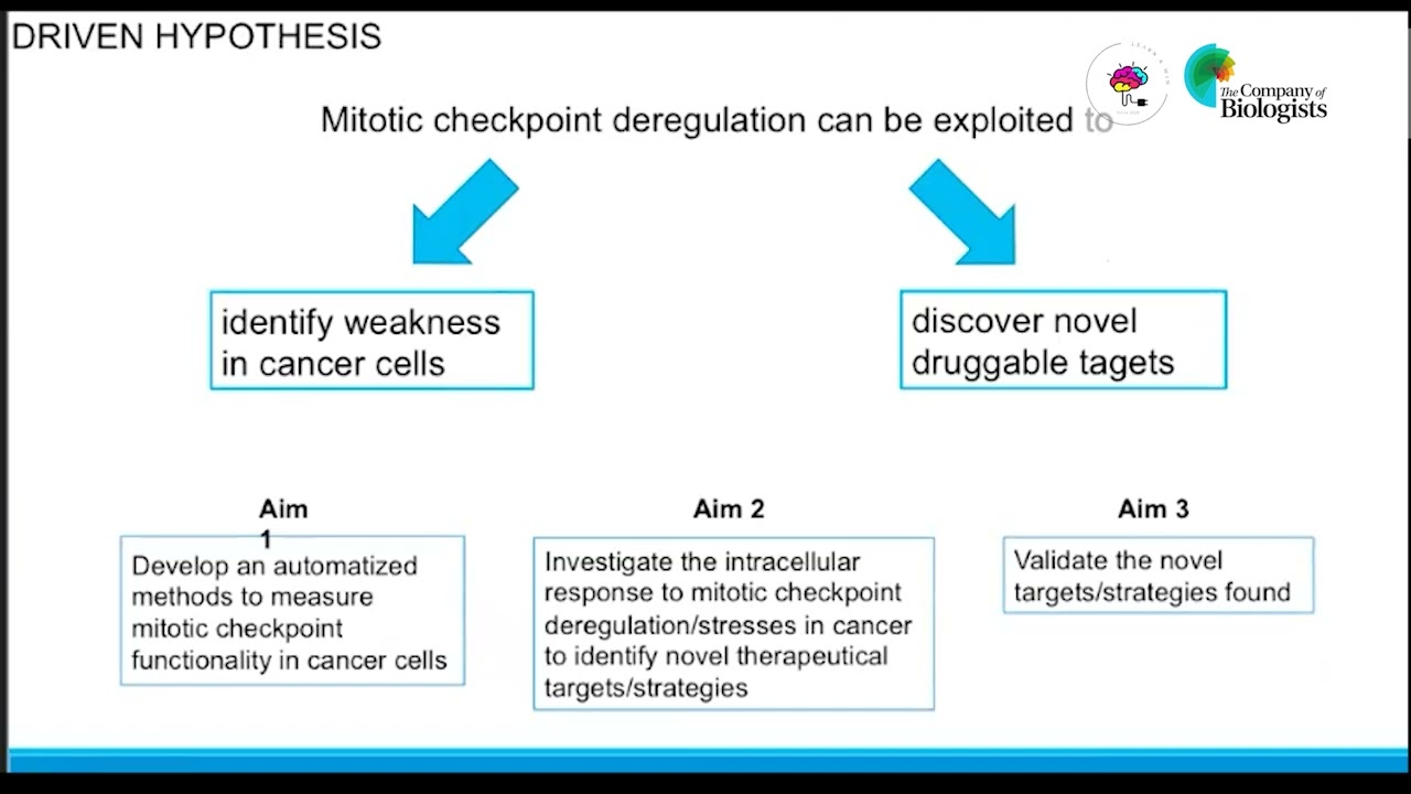 Exploring mitotic checkpoint functionality in patient-derived spheroids and organoids