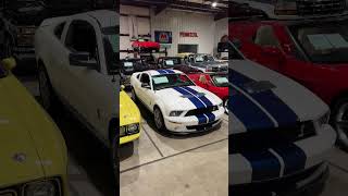 This is a car Carol would be proud of #grautogallery #mustang #shelby #gt500 #fyp