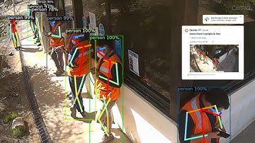 Camio real-time video search examples