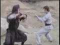 Shaolin challenges ninja  gordon liu vs japanese crab technique