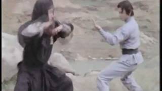 Shaolin Challenges Ninja - Gordon Liu vs. japanese crab technique!