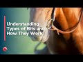 Understanding Types of Bits and How They Work