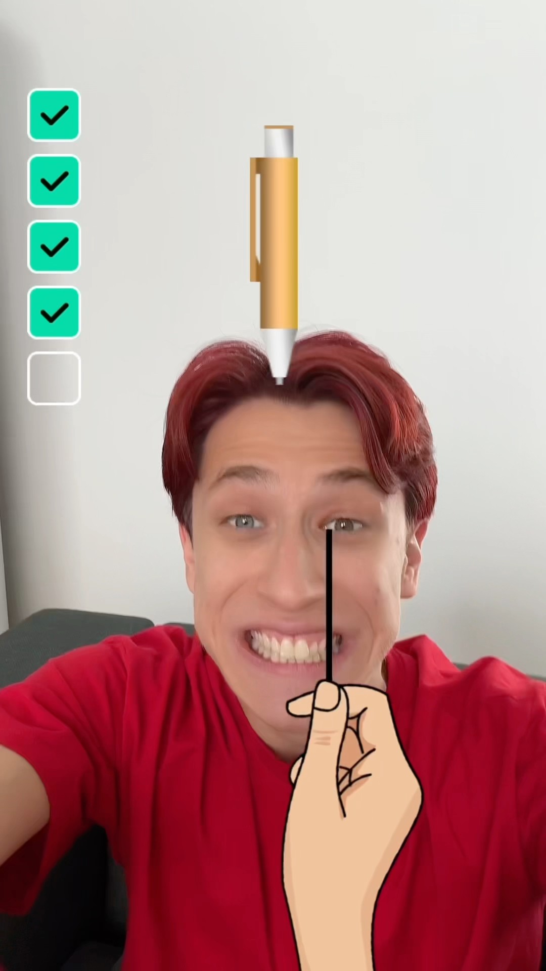 TikTok filter challenge ?