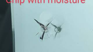 Windshield Crack Repair Queens, New York #windshieldrepair