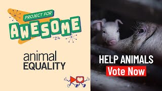 Help Animals during Project for Awesome 2024 | Vote for ANIMAL EQUALITY