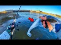 Throwing XL Swimbaits for HUGE River Monsters (BIG BASS CHALLENGE)
