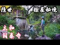 【香港攝影好去處】大埔隱世樹屋祕境 | 太和泰國寺 | 上水鳳眼藍