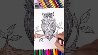 coloring a cute owl 🦉 😍 🎨