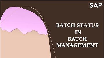 Batch Management|Batch status| Batch assignment in Production orders in SAP | PP Batch status