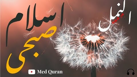 59_38 اسلام صبحي | مِنَ سورة النمل