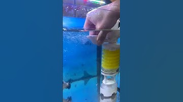 Máy Lọc Bể Cá Đa Chức Năng 6 Trong 1 Riverzone #locbeca #cácảnh #thuysinh