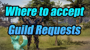 Where to accept guild requests / Level up your guild Lost Ark