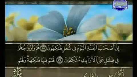 سورة يس  من الآية 55 الى الآية 83
