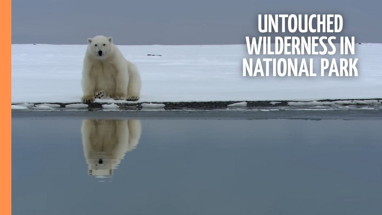 Untouched Wilderness in America's Northernmost National Park - Gates of the Arctic |Full documentary