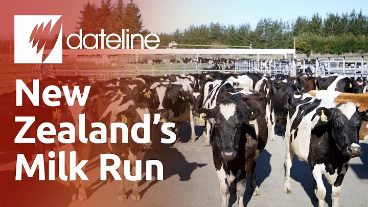 New Zealand's Milk Run