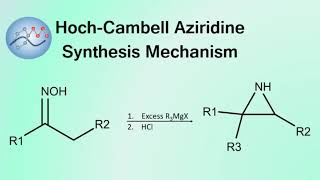 Hoch-Campbell Aziridine Synthesis Mechanism | Organic Chemistry