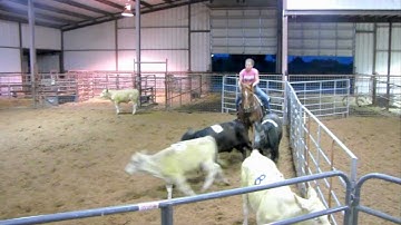 San Olena Quixote - 4/11/12 sorting practice 1 - Valley View Ranch