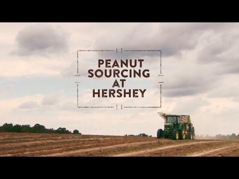 Peanut Sourcing
