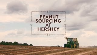 Peanut Sourcing