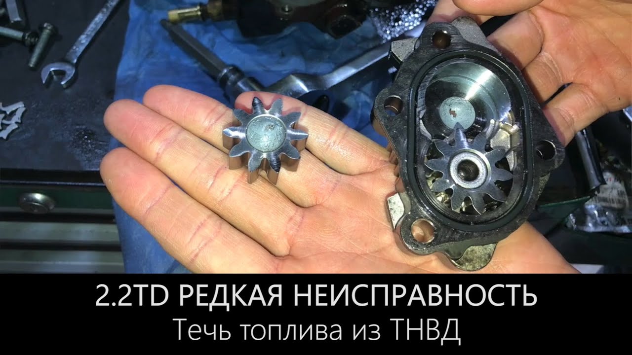 Фрилендер или эвок