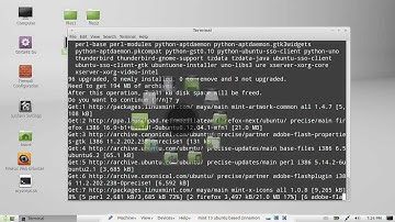 system update via command line in Linux Mint 13