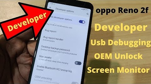 Oppo Reno 2f Developer Options find Hindi Urdu