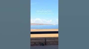 #سورة_آل_عمران #القرآن_الكريم #راحة_نفسية #تلاوة_خاشعة #qurankareem #اكسبلور #explore #short
