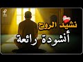 نشيد الروح اداء والحان وهندسة زيد الزبيدي 2025 