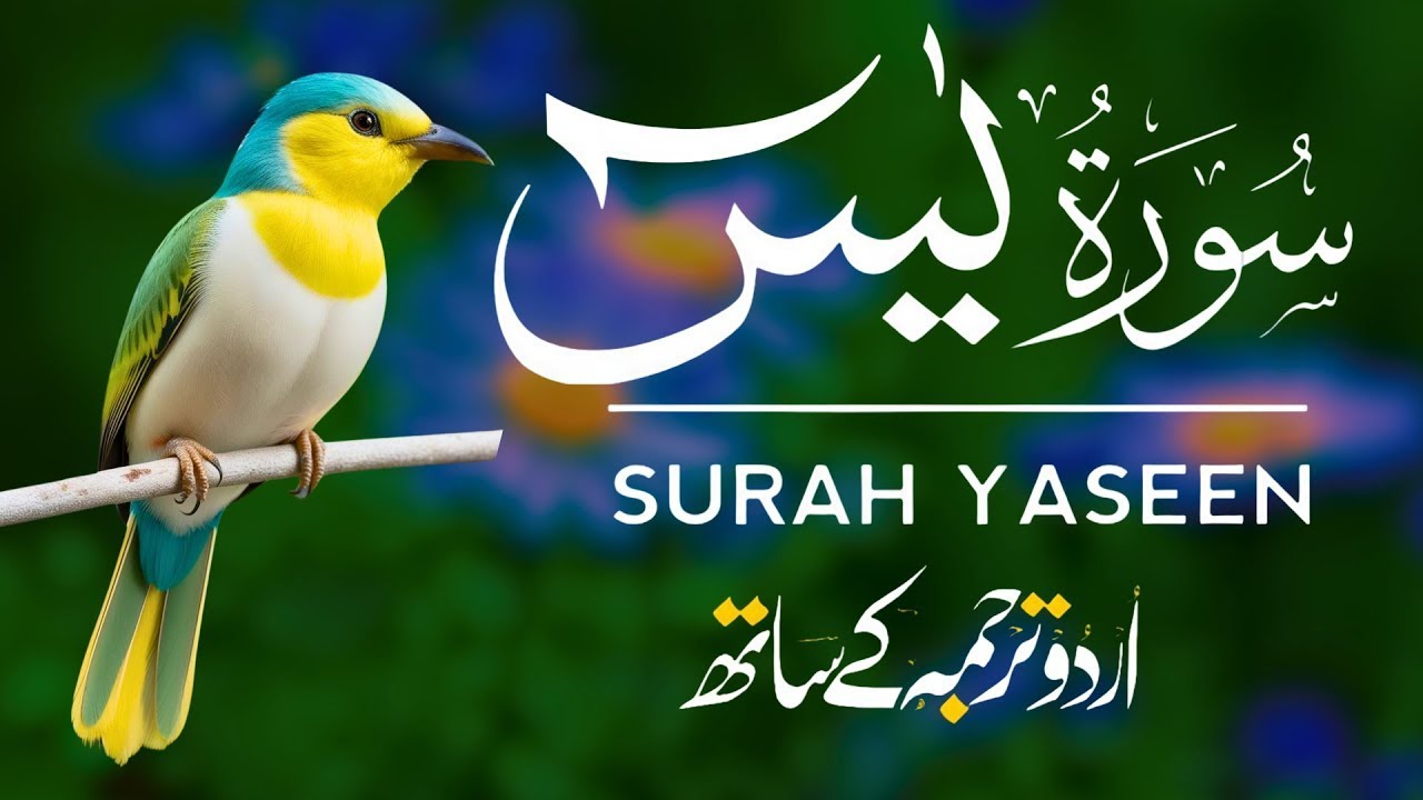 Surah Yaseen | Surah Yaseen With Urdu Translation | Al Furqan Studio | Ep083