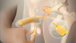 Erkagi uyda bolmasa, etuk ayol Xanna Montana yalangoch porno