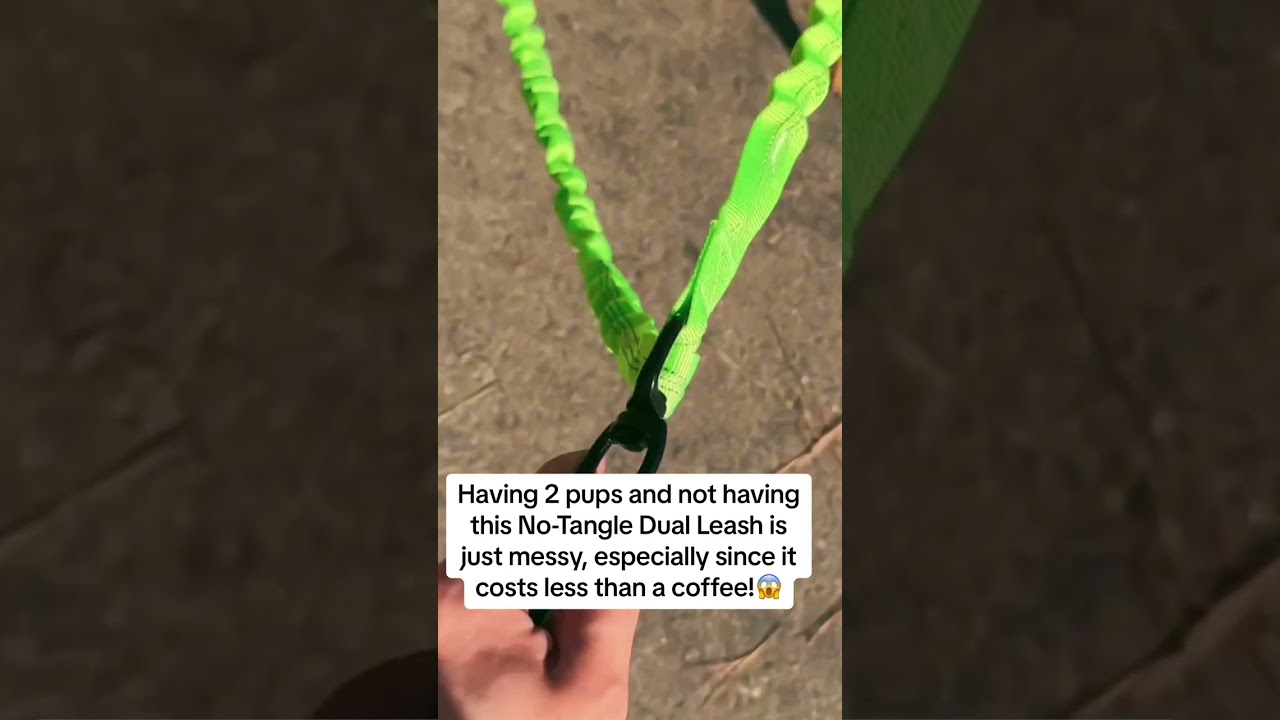 No-tangle dual leash for dogs