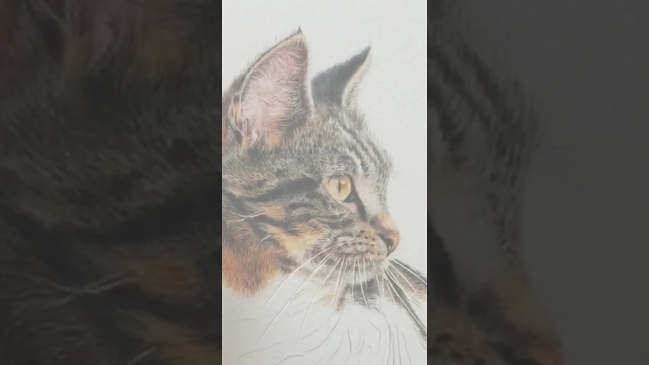 Hyper realistic Colouring 💡😱 