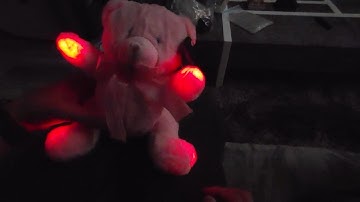 How to use the RemPod Bear with Sound for Ghost Hunting