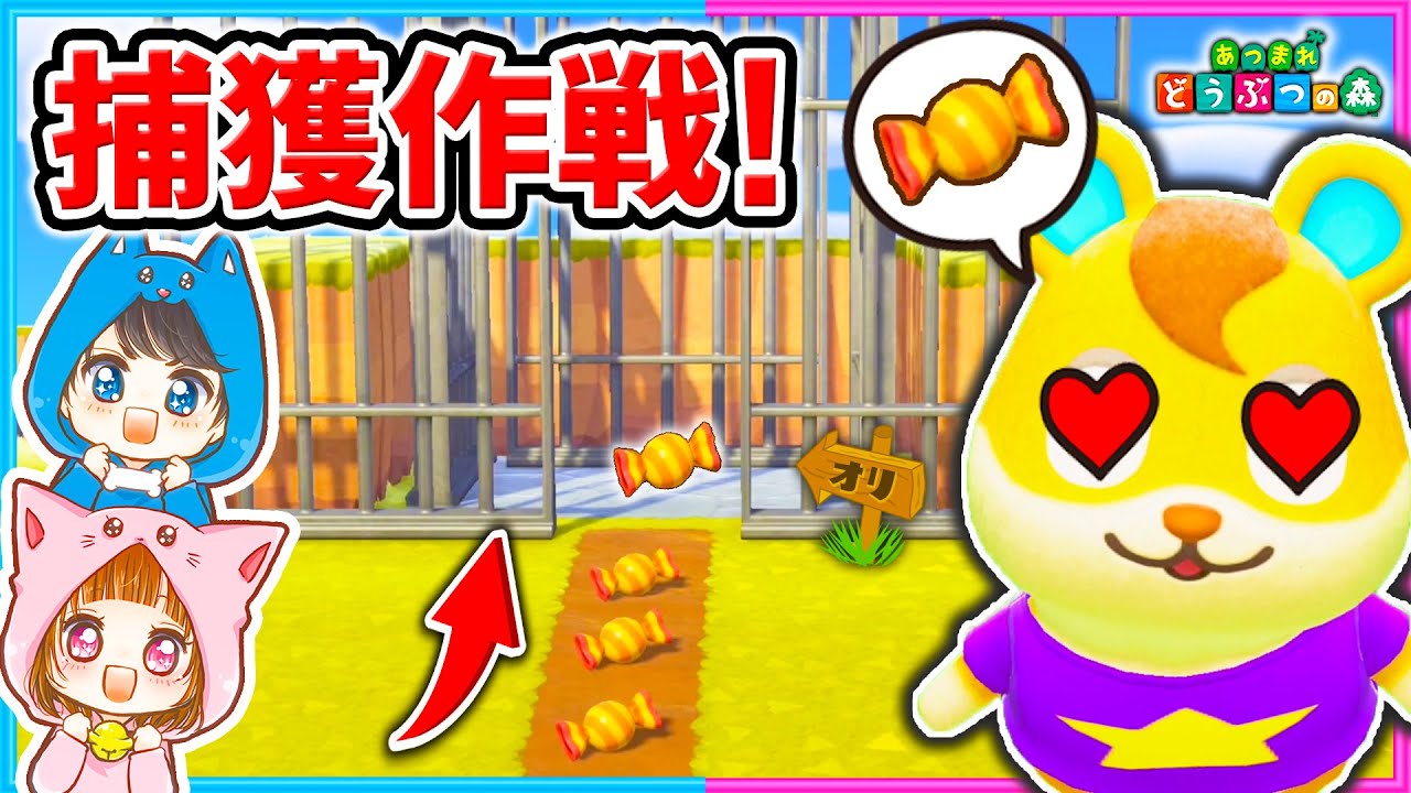 ハムスケの大好物を並べて捕獲装置作ったｗｗｗ【ハムスケ/キャンディ/アメ】【あつまれどうぶつの森/AnimalCrossing】