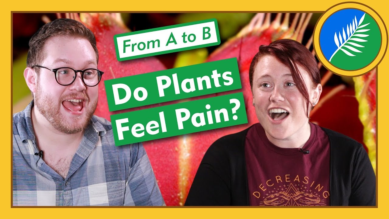 ⁣Can Plants Hurt When We Eat Them? - From A to B