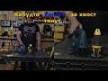 новый лобзик DEWALT - DWE349 распаковка, обзор, тест и сравнение