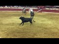 Toro Asesino de Leyendas de Rancho Negro  Vs Los Guadalupanos de la Liebre