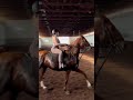 Good lesson on Diva today!