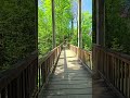 Dendrologischer Garten, Erfurt 🇩🇪 | #shorts #explorepage #germany #walking #short #shortvideo