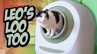 Leo's Loo Too Automatic SelfCleaning Litter Box Review (We Used It For 3 MONTHS) | Raymond Strazdas