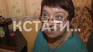 Собаки, спасенные из концлагеря, вернулись к владельцам, у которых были украдены. Собаки, спасенные из концлагеря, вернулись к владельцам, у которых были украдены.