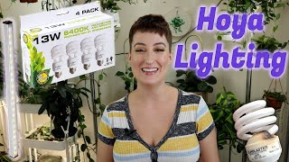 Lighting for HOYAS | DreamsofHoya
In this video I discuss the grow lights that have been keeping my hoyas happy for over a year!
Products Mentioned:
Sunblaster Bulbs (pk of 4 or 8) - https://amzn.to/3p46QrA
LED Bar Lights** (pk of 3 or 6) - https://amzn.to/2XgFYZU
**I have Daylight White which is 4500K, but apparently the Cool White is 6000K. If I had to buy them again, Id be tempted to do cool white since its more similar in strength to the SunBlaster bulbs (6400K).
Plant Rod System* (my background) - https://amzn.to/3mSEQEn
*this has increased in price by $40-50 since I bought it, just FYI. But I havent seen this particular setup available elsewhere, better price or not, so its linked for your convenience.
IF you would prefer this style in a smaller setup, there are LOTS to choose from and theyre generally under $100. No links cause I cant speak to them personally.
**Plant Products I Use & Recommend**
LIGHTS
LED Bar Grow lights - https://amzn.to/3kAFy5Y
Grow Bulbs (SunBlaster) - https://amzn.to/38SdEjE
ACCESSORIES
Clips for trailing plants/walls - https://amzn.to/2UtD277
Orchid clips - https://amzn.to/32KnXT8
Plant Velcro - https://amzn.to/36BoJ61
Small, Stackable Trellis - https://amzn.to/3eZ1vuy
Bamboo Hoop (18 pack of 10) - https://amzn.to/2YCL4QC
Bamboo Hoop (24 pack of 10) - https://amzn.to/3DkY5x7
Plant Tags - https://amzn.to/38JOBiN
5 pack Macrame - https://amzn.to/3f3peK2
3 inch net pots (for LECA) - https://amzn.to/3kAPM6x
S-hooks for hanging plants - https://amzn.to/38MACsK
PEST PREVENTION
Mosquito bits - https://amzn.to/36CoAzo
Granular Systemic - https://amzn.to/3kztsKk
Physan20 (fungal, bacterial & rust treatment) - https://amzn.to/3uR4rRQ
**I use affiliate links. That means I earn a small commission for recommending the products (if purchased via my link). If this makes you uncomfortable, please dont use them - just google the item you need. Ive been creating content for over 4 years with no profit, so if youre buying the item anyway, its a good way to give back/support my channel - at no additional cost or effort from you. Thanks in advance! Lighting for HOYAS | DreamsofHoya