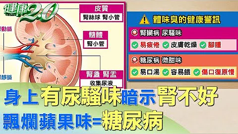 身上有尿騷味暗示腎不好 飄爛蘋果味=糖尿病 健康2.0 - 天天要聞