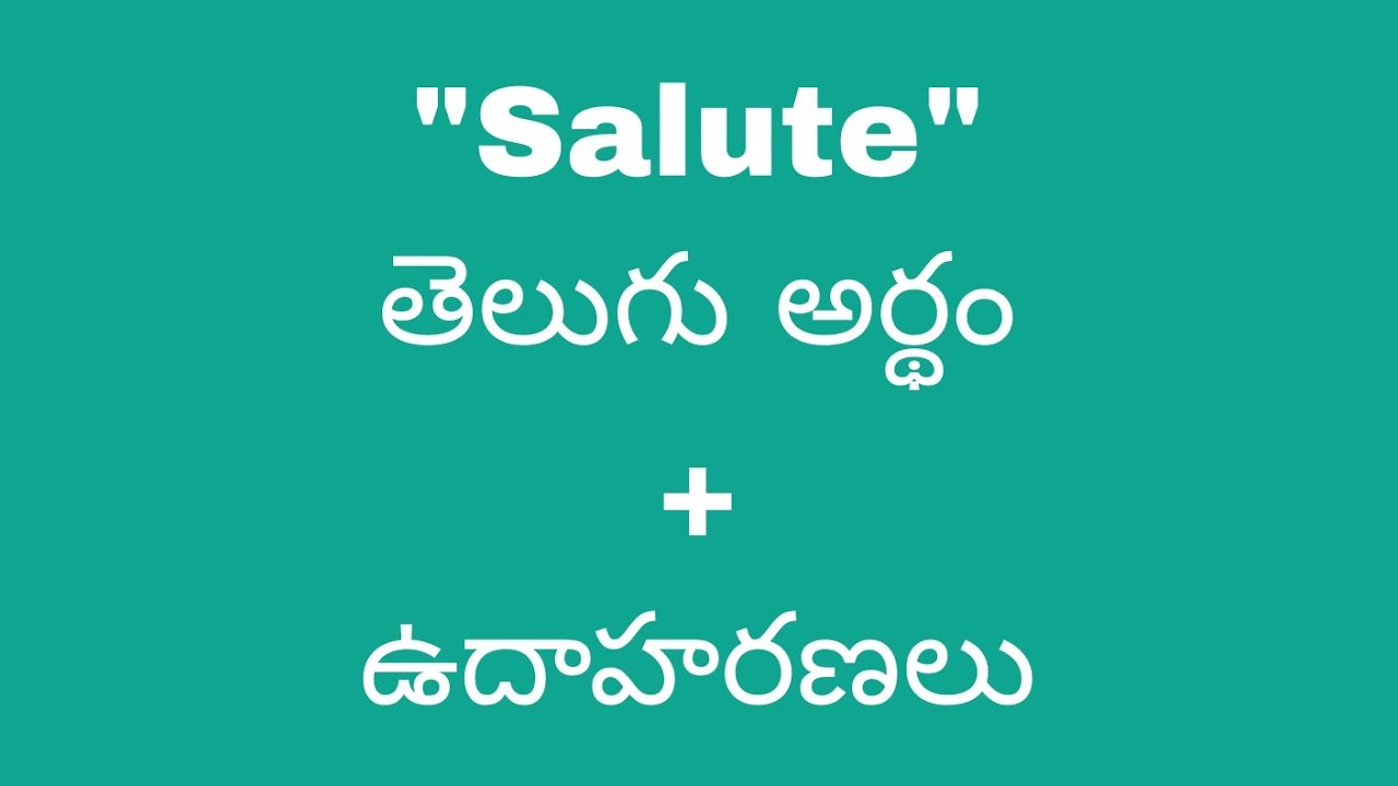 salute-meaning-in-telugu-with-examples-salute